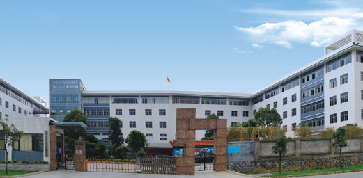 Company profile